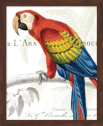 Framed Parrot Botanique II Print