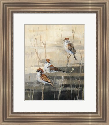 Framed Evening Sanctuary III Print