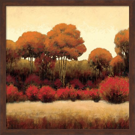 Framed Autumn Forest II Print