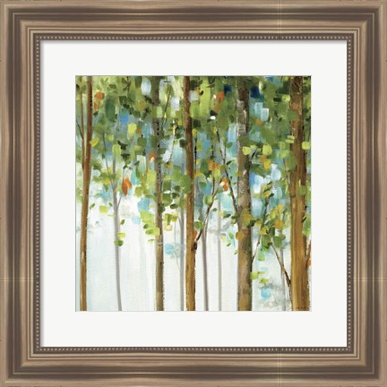 Framed Forest Study III Print