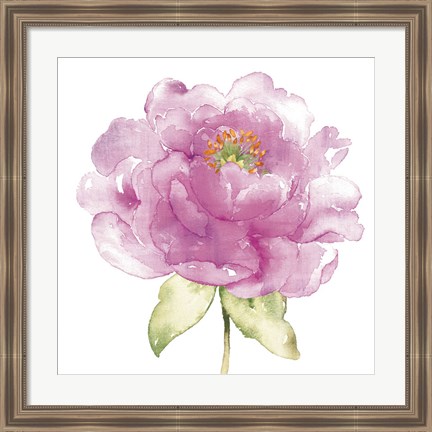 Framed Water Flower II Print