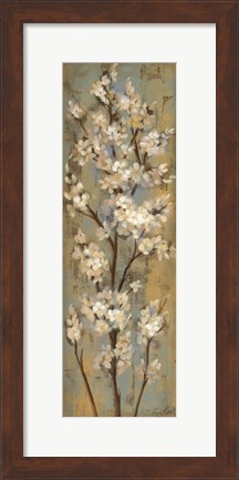 Framed Almond Branch II Print