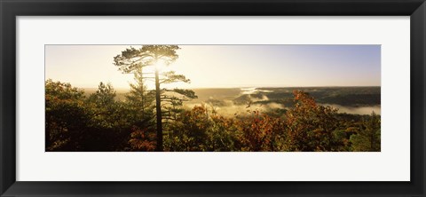 Framed Forest in autumn at sunset, Ottawa National Forest, Upper Peninsula, Michigan, USA Print