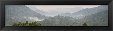 Framed Forest with mountain range, Bwindi Impenetrable Forest, Bwindi Impenetrable National Park, Uganda Print