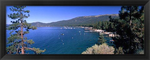 Framed Trees with lake in the background, Lake Tahoe, California, USA Print