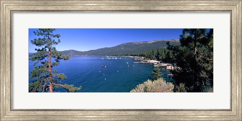 Framed Trees with lake in the background, Lake Tahoe, California, USA Print