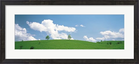 Framed Grassland with blue sky and clouds Print