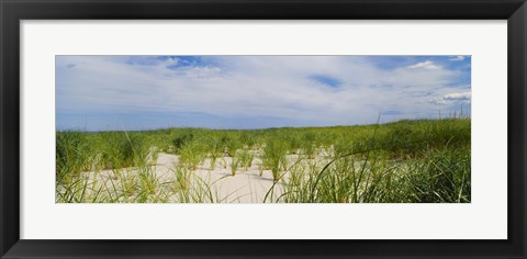 Framed Sand dunes at Crane Beach, Ipswich, Essex County, Massachusetts, USA Print