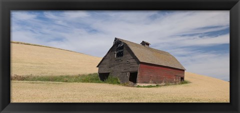 Framed Barn in a wheat field, Colfax, Whitman County, Washington State, USA Print