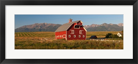 Framed Barn in a field with a Wallowa Mountains in the background, Enterprise, Wallowa County, Oregon, USA Print