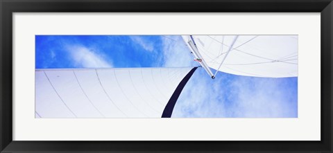 Framed Low angle view of sails on a Sailboat, Gulf of California, La Paz, Baja California Sur, Mexico Print