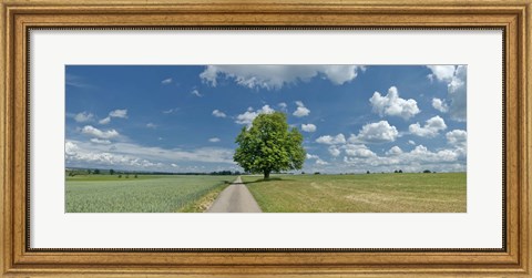 Framed Country road passing through a field, Horb Am Neckar, Baden-Wurttemberg, Germany Print