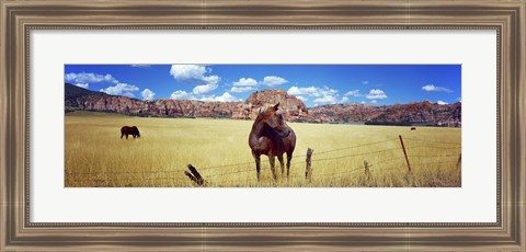 Framed Horses Grazing at Kolob Reservoir, Utah Print