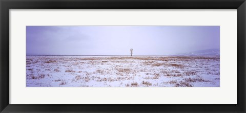 Framed Snow covered landscape in winter, Antelope Flat, Grand Teton National Park, Wyoming, USA Print