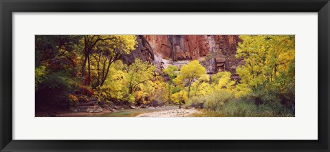 Framed Creek at sunset, Death Valley, California, USA Print