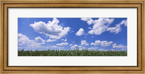 Framed Wheat field and transmission tower, Baden-Wurttemberg, Germany Print
