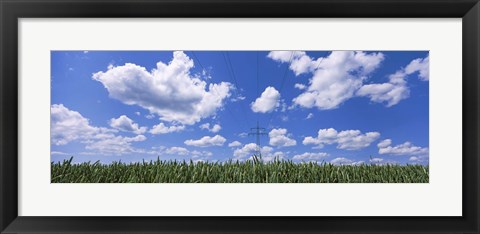 Framed Wheat field and transmission tower, Baden-Wurttemberg, Germany Print