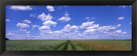 Framed Road through agriculture fields, Baden-Wurttemberg, Germany Print