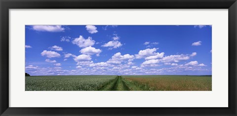 Framed Road through agriculture fields, Baden-Wurttemberg, Germany Print