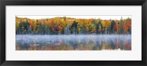 Framed Trees in autumn at Lake Hiawatha, Alger County, Upper Peninsula, Michigan, USA Print