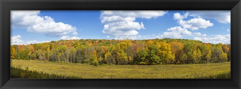 Framed Autumn Trees in New York Print