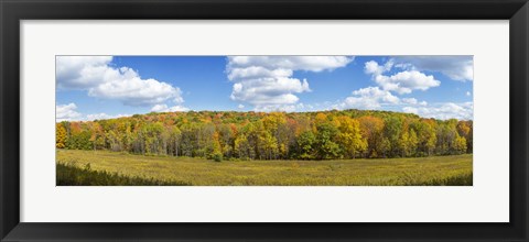 Framed Autumn Trees in New York Print