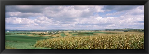 Framed Corn and Alfalfa Fields, Wisconsin Print