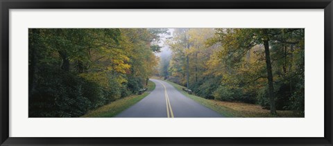 Framed Trees along a road, Blue Ridge Parkway, North Carolina, USA Print