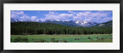 Framed Beaver Meadows Rocky Mountain National Park CO USA Print