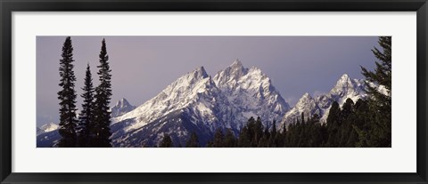 Framed Cathedral Group Mountains, Grand Teton National Park, Wyoming Print