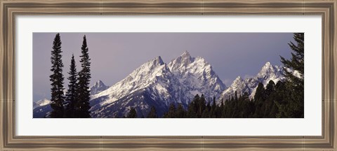 Framed Cathedral Group Mountains, Grand Teton National Park, Wyoming Print