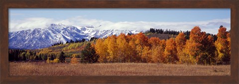 Framed Autumn Grand Teton National Park WY Print