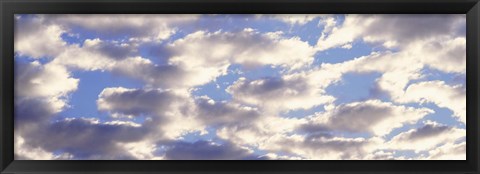 Framed Low angle view of clouds Print