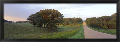 Framed Dirt road passing through a field, Wisconsin, USA Print