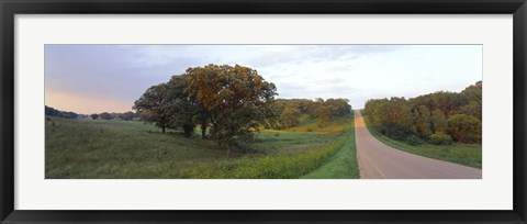 Framed Dirt road passing through a field, Wisconsin, USA Print