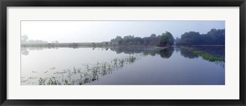 Framed Standing floodwater, Mississippi River, Illinois, USA Print