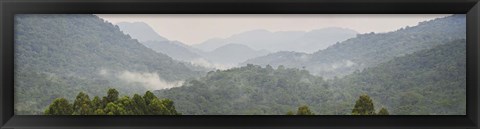 Framed Forest with mountain range, Bwindi Impenetrable Forest, Bwindi Impenetrable National Park, Uganda Print