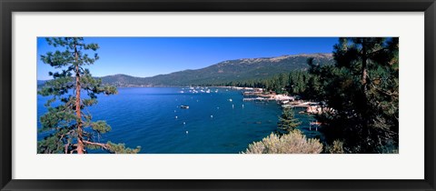 Framed Trees with lake in the background, Lake Tahoe, California, USA Print