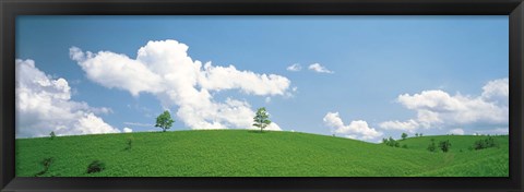 Framed Grassland with blue sky and clouds Print