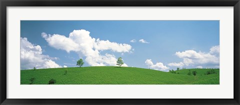 Framed Grassland with blue sky and clouds Print