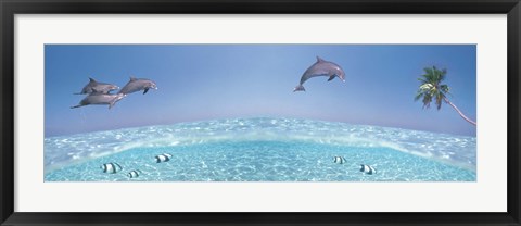 Framed Dolphins Leaping In Air Print