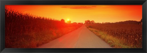 Framed Country road at sunset, Milton, Northumberland County, Pennsylvania, USA Print