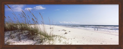 Framed Tall grass on the beach, Perdido Key Area, Gulf Islands National Seashore, Pensacola, Florida, USA Print