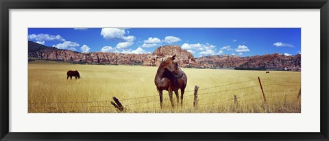 Framed Horses Grazing at Kolob Reservoir, Utah Print