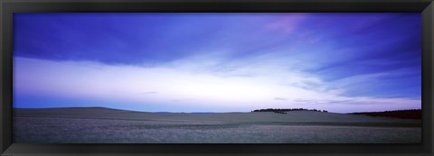 Framed Buffalo farm at dusk, Clear Creek Ranch, Utah, USA Print