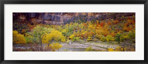 Framed Big Bend in fall, Zion National Park, Utah, USA Print