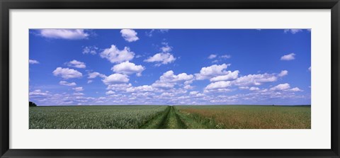 Framed Road through agriculture fields, Baden-Wurttemberg, Germany Print