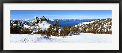 Framed Trees on a snow covered landscape, Heavenly Mountain Resort, Lake Tahoe, California-Nevada Border, USA Print