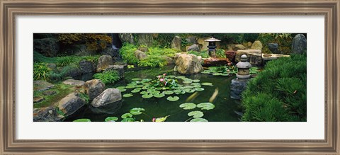 Framed Japanese Garden at University of California Print