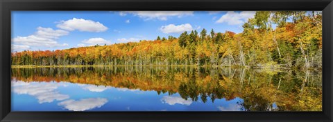 Framed Reflection of trees in a lake, Pete&#39;s Lake, Schoolcraft County, Upper Peninsula, Michigan, USA Print